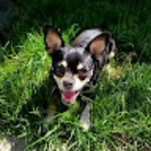 Meet your Posher, Jen